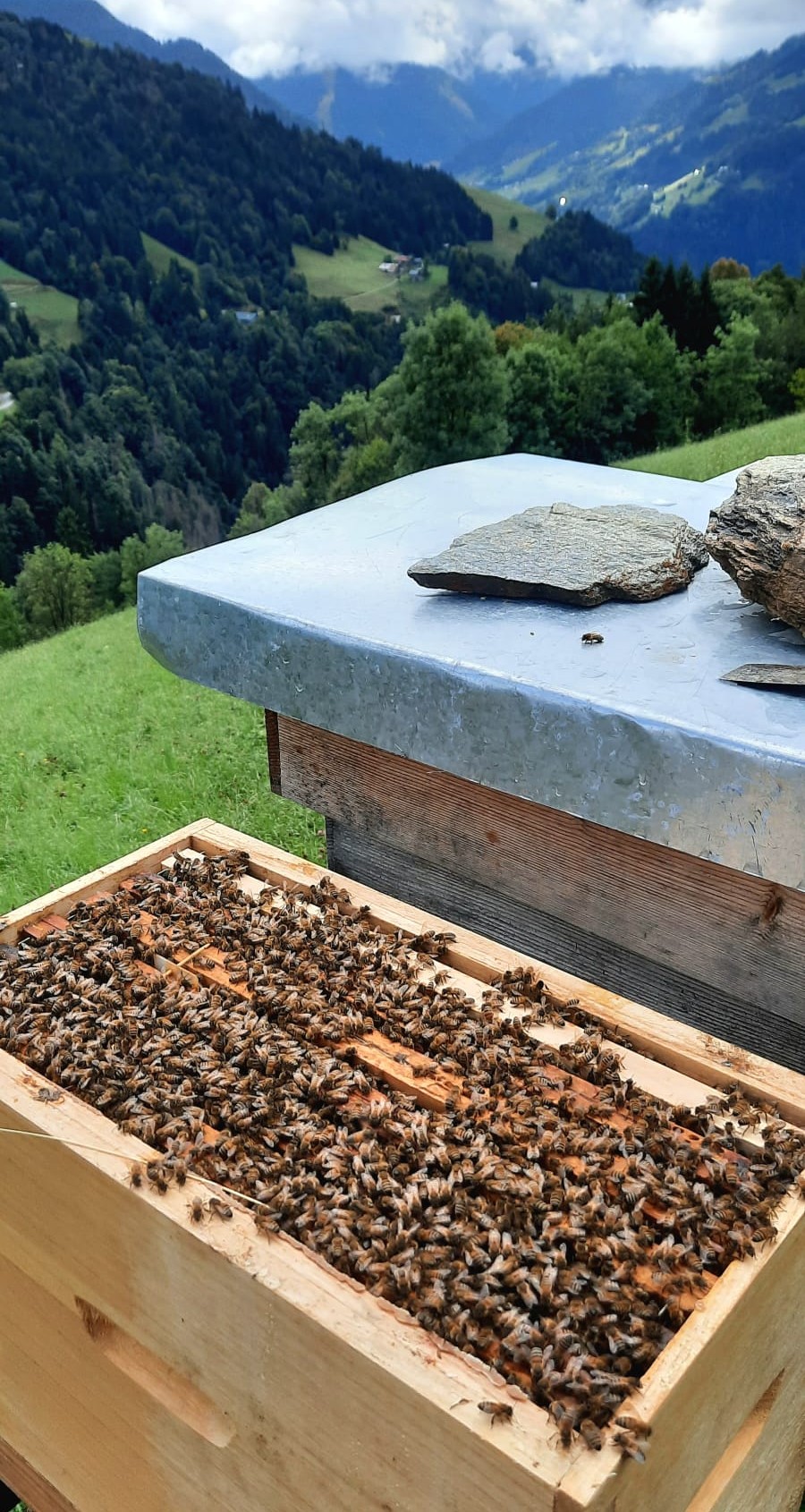 Ruchette ouverte et montagne